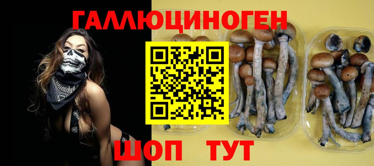Ртищево  Псилоцибиновые грибы прущие грибы  цены   Вход с VPN  Галлюциногенные грибы MAGIC MUSHROOMS 